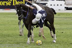 Hourseball game